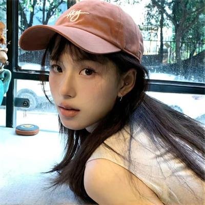 暴风雪中的白鸟